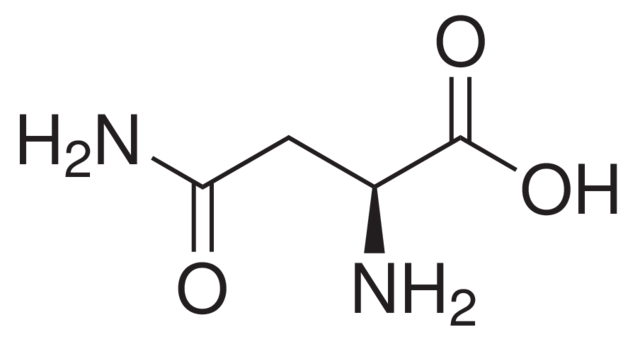 L-天冬酰胺/L-天门冬酰胺/L-Asparagine